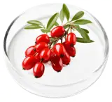 Berberine HCL for Balanced Blood Sugar and Vitality
