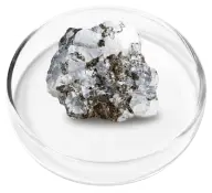 Essential Zinc Mineral for Immune System and Cognitive Support